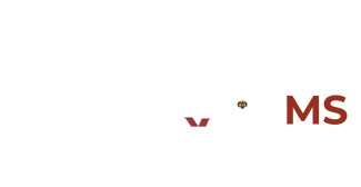 NETHR91 MS Logo